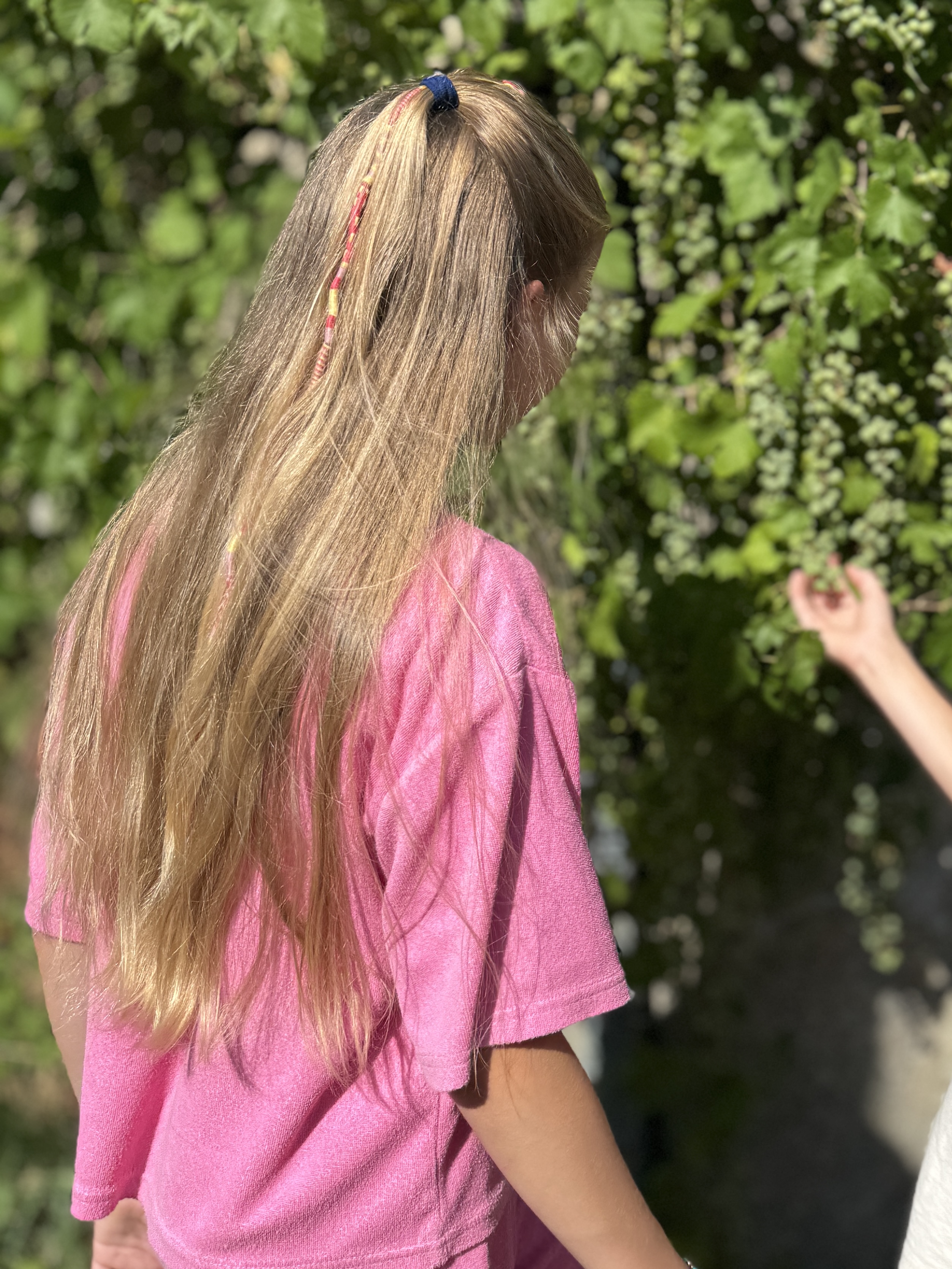 Actie van Isabel Koning 