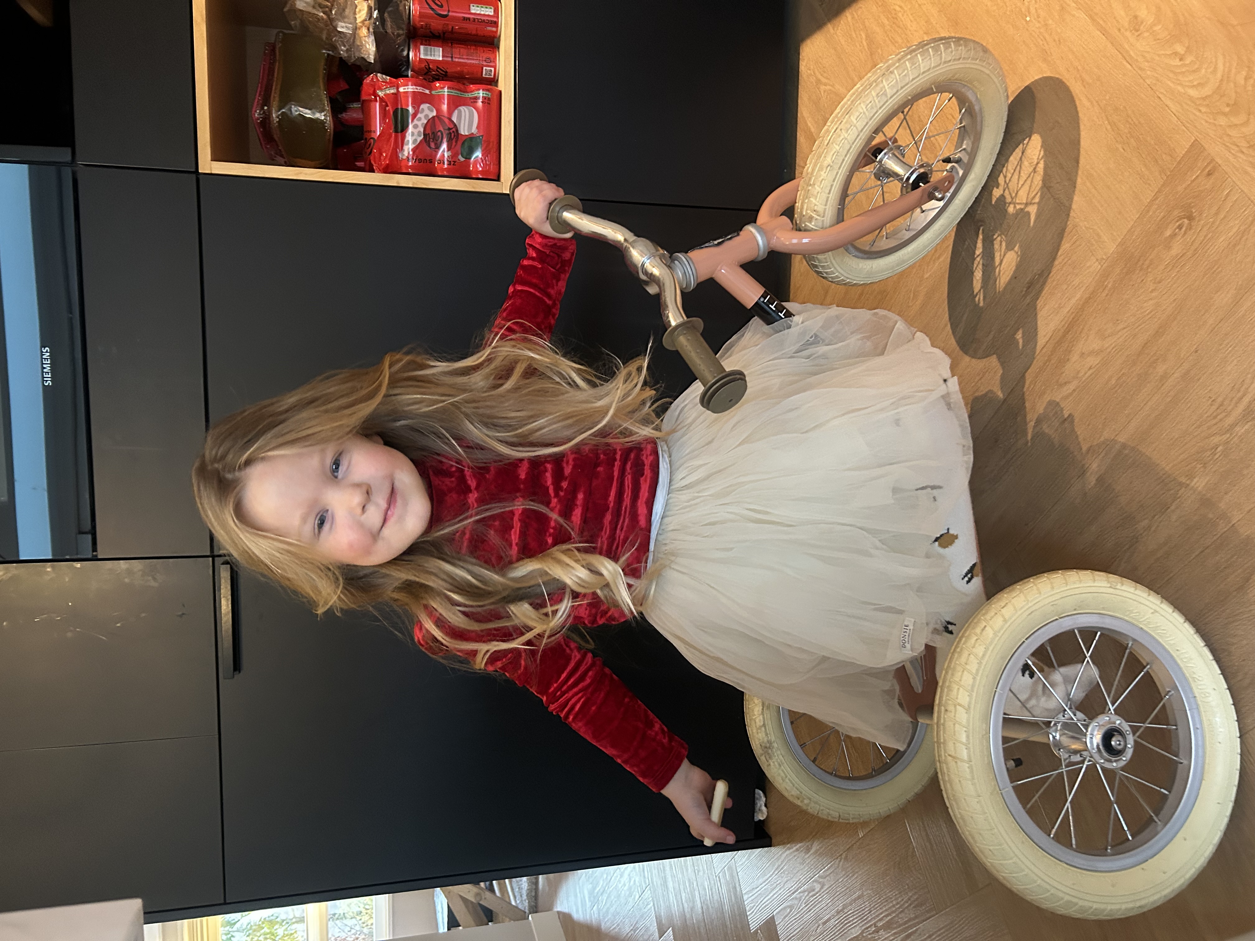 Actie van Isabel von Hessert